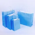 Set of four light blue kraft paper shopping bags with white rope handles in varied sizes - Light Blue; 15*8*21 (small Vertical)