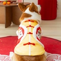 Corgi wearing yellow and red Tang suit with traditional Chinese buttons for Lunar New Year - S / Corgi Lion Dance Suit