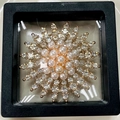 Spilla a fiore in lega con perle e strass presentata in una scatola regalo nera - Scatola regalo galleggiante di lusso (7x7)