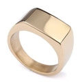 Anillo de sello cuadrado minimalista en oro con superficie pulida e interior cepillado - US 5 / Dorado