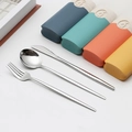 Set posate portatili in acciaio inox con custodie colorate in paglia di grano - Tipo E Argento