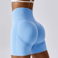Seamless high-waisted yoga shorts in light blue with butt-lifting ribbed texture - Light Blue