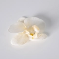 Testa di orchidea artificiale bianco crema con centro maculato giallo per decoro fai-da-te - Seta Bianco Riso (Piccolo)