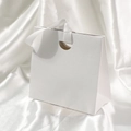 Elegant white textured paper gift bag with matching ribbon handles on silk background - 15.5*14.5*7.5cm / Snow White