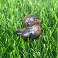 Natural agate stone duck figurine with brown grey textures on green grass - Sesame Stone