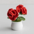 Handmade crochet lily of the valley in red flowers with green leaves and white pot - Double-Head Carnation Red