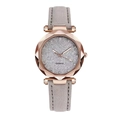 Starry sky silver glitter face quartz watch for women with rose gold case and grey strap - Gray