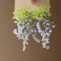 Detail of handmade beaded fringe earrings featuring green and purple wisteria floral drops - 29# Green Cluster Purple Wisteria Tassel (925 Sterling Silver Earring Post)