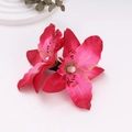 Detalle de la pinza de pelo de orquídea rosa con pétalos moteados realistas sobre blanco - Rosa Roja
