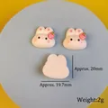 Cute white resin rabbit with strawberry accent, DIY craft charm size 20mm x 19.7mm - Style 1 Strawberry Rabbit