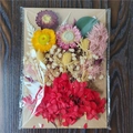 DIY dried flower material kit with colorful hydrangeas and strawflowers on kraft card - Flower Pack No.30