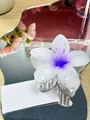Elegant purple and white gradient flower hair claw clip with a glossy resin finish - Large (approx 8cm) / White Purple