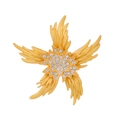 Luxuriöse Vintage-Seestern-Brosche mit Gold-Finish und funkelnden Zirkonsteinen für Blazer - Seestern Form Stil(FG044-A)