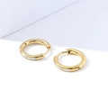 Luxe goudkleurige titaniumstalen oorringen met sprankelende ingezette kristallen - 2.5*14 / Goud (14)