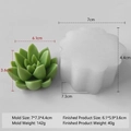 Succulent silicone mold for DIY cactus candles with dimensions and weight specs - Succulent H-0568