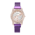 Women's Amadi quartz watch with purple mesh band and crystal bezel on sunray dial - Purple