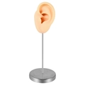 Silicone ear model on stainless steel stand for jewelry display and teaching - Left Ear / Nude