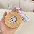 Detailed internal view of wooden LED crystal ball base showing PCB and USB cable - Colorful Light: Round 8cm