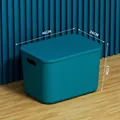 Morandi blue 42L plastic storage bin with lid and side handles for home organizing - Super Giant (46x34x27cm) / Serene Blue