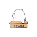 Cartoon Ice Bear enamel pin featuring a cute bear sitting inside a box labeled BEARS - Ice Bear in Box-XZ4749