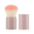 Portable retractable makeup brush with pink gradient bristles and matching cover - Pink Plastic Handle (Pink Two-tone Gradient Hair)