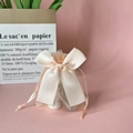 Sweet pink organza gift bag featuring a large decorative satin ribbon bow closure - Champagne