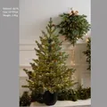 Mini albero di Natale PE 90cm con luci LED e pigne in vaso nero opaco - 90cm PE Abete Nordmann Sfumato con Luci LED Petardo