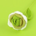 Handmade crochet rose flower in white and green yarn finish with stem and leaf - Gradient Green Rose Bouquet