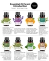 Coffret de 8 huiles essentielles dont lavande et arbre à thé avec plantes naturelles - Autres Parfums Combinaison / Ensemble de 8 pièces