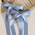Pair of light blue satin ribbon hair clips with long streamers in balletcore style - Duckbill Hair Clips / Short/PC / Blue