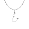 Elegant silver stainless steel flat snake chain necklace with initial E heart pendant - Letter E (Steel Color)
