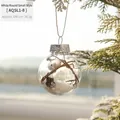 Pallina di Natale da 6cm con pigna e neve, appesa a un ramo di pino in stile rustico - 6CM Palla Trasparente Bacca Bianca Vite Secca