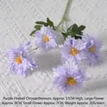 Flame Chrysanthemum Purple
