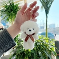 White Dog With Golden Buckle & Bowtie