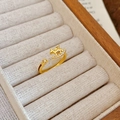 Makro-Detail des vergoldeten Schaukelpferd-Rings mit Zirkonia-Steinen in einer Box - Schaukelpferd Zirkon Stil