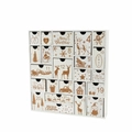 Calendario dell'Avvento in legno bianco con 24 cassetti decorati con motivi natalizi dorati - Bianco