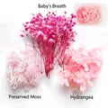 DIY dried flower kit with pink gypsophila moss and hydrangea in transparent box - Pink Flowers 1 Box 28g