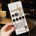 Set of 6 gold hair clips featuring pearls, leopard print, and resin details for women - Round Leopard Print 6-Piece Set