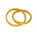 Pair of gold-plated titanium steel spring bracelets with vintage python texture - 10mm Gold Double Loop