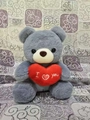 Oso de peluche gris con corazón rojo bordado I love you para el Día de San Valentín - Gris (Sosteniendo un corazón)