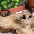 Stathetta di cavalletta in ottone antico su base in legno naturale stile zen - Locusta