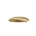 Golden oval metal hair clip with brushed texture finish and spring closure design - Oval Brushed Style