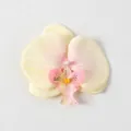 Testa di orchidea artificiale crema con centro rosa per accessori capelli da sposa DIY - Seta Giallo Pallido (Grande)