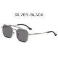Lunettes de soleil steampunk monture argentée polygonale et verres gris foncé - Monture Argentée Verres Gris Noir