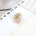 Minimalist amber-colored shell hair claw clip with orange textures in acetate material - Style 10-Amber Orange Pattern Shell