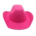 Classic pink western cowboy hat with wide curved brim and textured felt material - Rose Red (No Accessories)