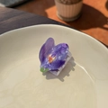 Macro detail of a purple floral acrylic hair claw clip in a white ceramic bowl - Purple Flower Yellow Stamen - Small Claw