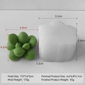 Succulent cactus silicone candle mold showing white mold and green wax成品 and dimensions - Succulent H-0570