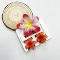 Three-piece plumeria flower hair claw set in vibrant rose red and orange gradient resin - Mixed Color Set #2 (includes Cards)