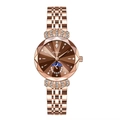 Women's rose gold luxury watch with brown radial dial and sparkling rhinestone accents - Coffee-colored Steel Strap (solid Steel Strap With Butterfly Buckle + Eu Standard)